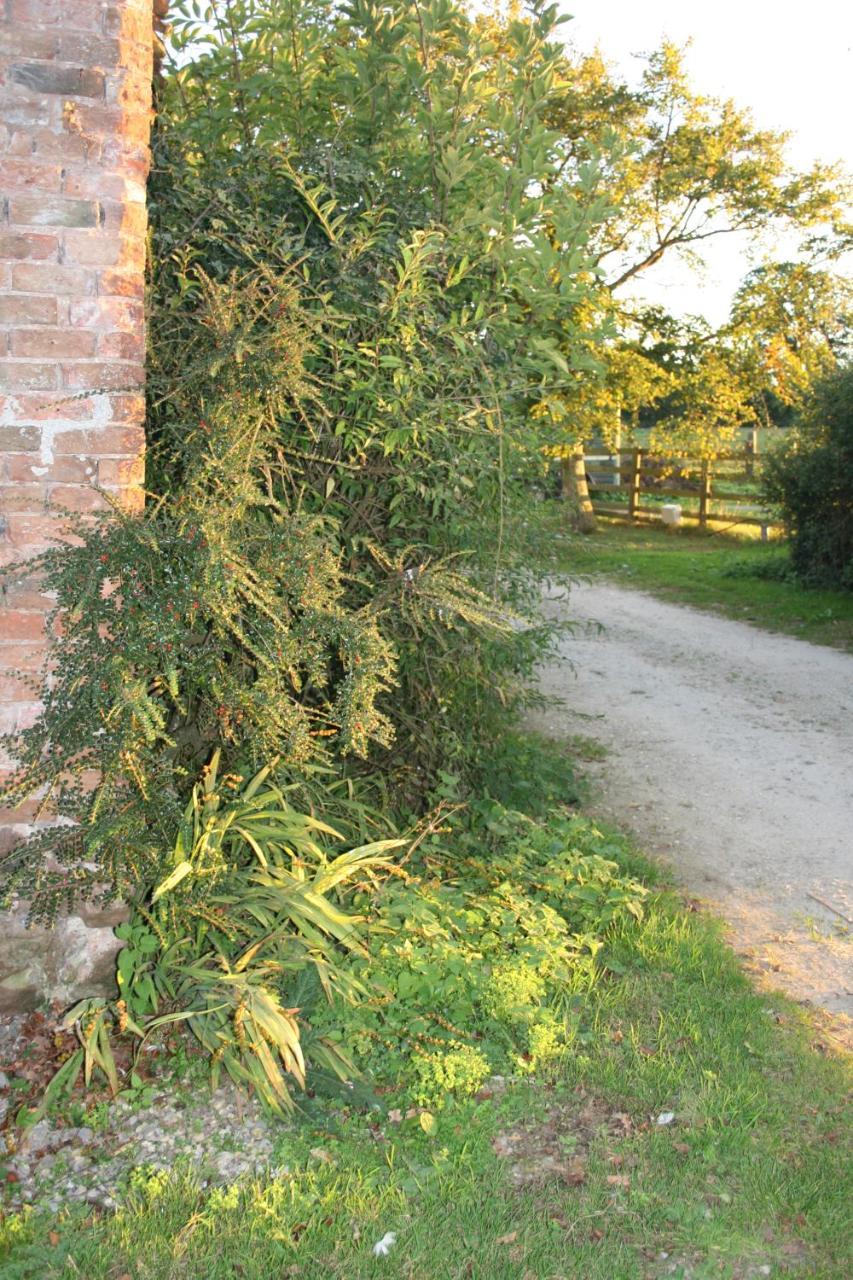 לינה וארוחת בוקר ברידג'ווטר Greenway Farm מראה חיצוני תמונה